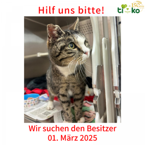 Fundtiere FB (36)